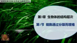 3.1《细胞通过分裂而增殖》课件