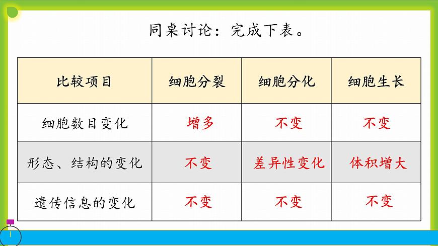 3.2《細胞分化形成形成組織》課件第8頁