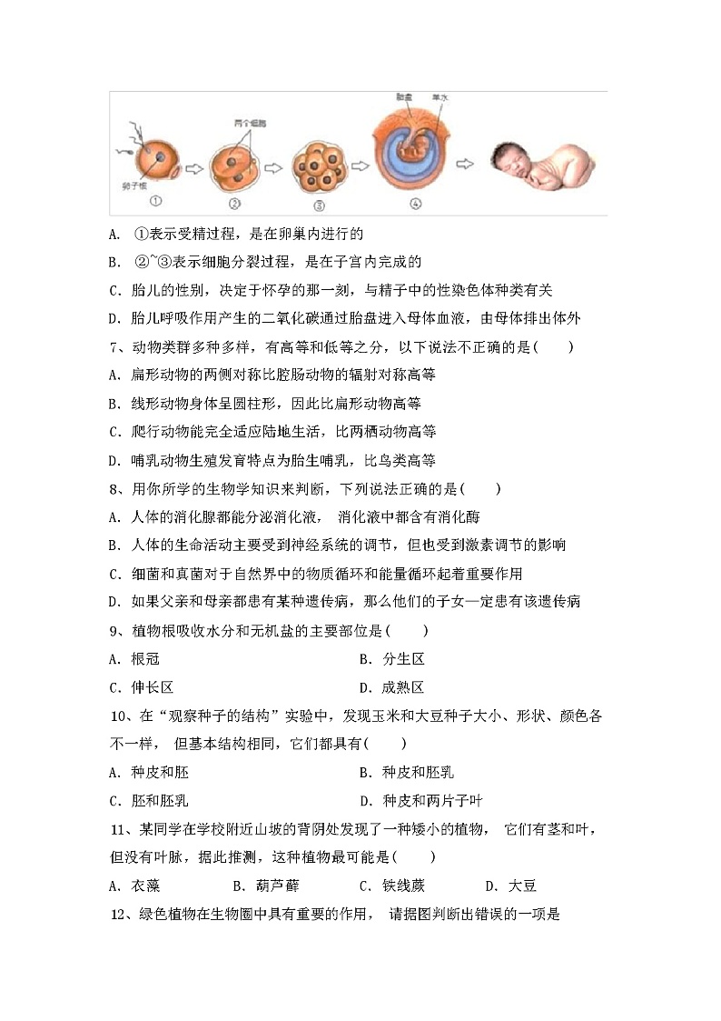 苏教版八年级《生物》上册期中试卷及答案02