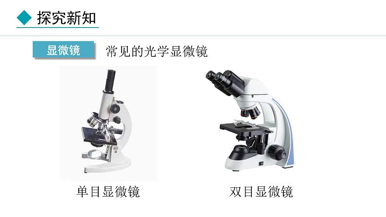 1.2.1 学习使用显微镜 课件-2024--2025学年人教版生物七年级上册03