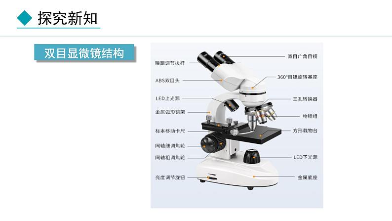 1.2.1 学习使用显微镜 课件-2024--2025学年人教版生物七年级上册06
