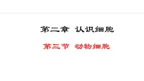初中生物人教版（2024）七年级上册第三节 动物细胞课文内容课件ppt