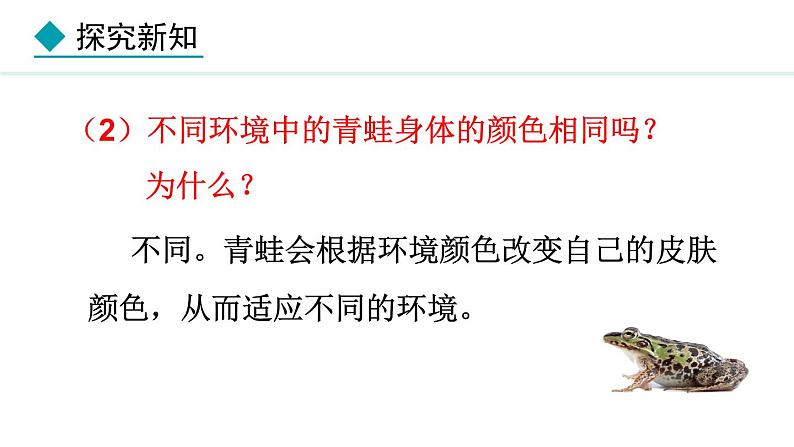 2.2.2 第2课时 两栖动物和爬行动物 课件-2024--2025学年人教版生物七年级上册08