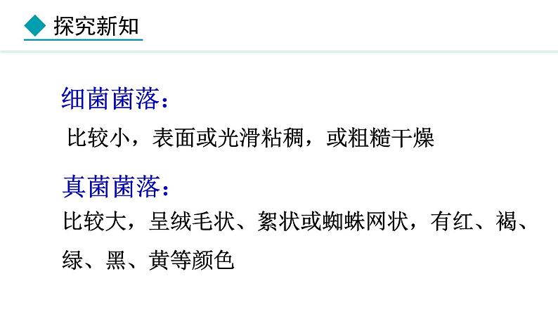 2.3.1 微生物的分布 课件-2024--2025学年人教版生物七年级上册08