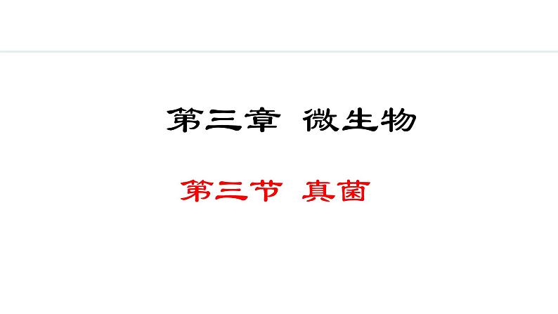 2.3.3 真菌 课件-2024--2025学年人教版生物七年级上册01