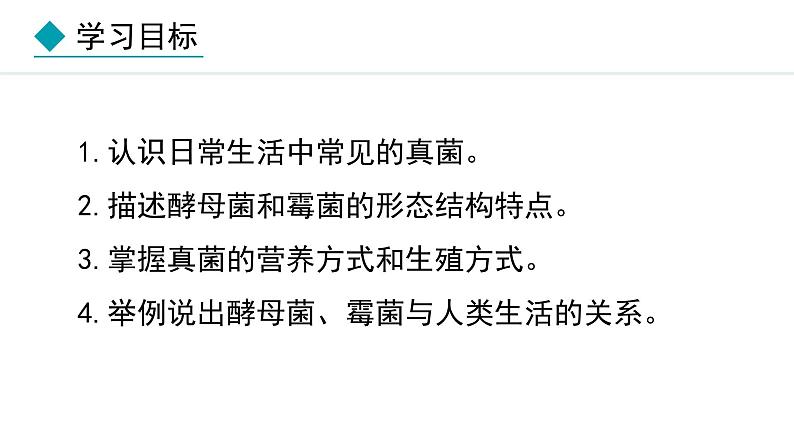 2.3.3 真菌 课件-2024--2025学年人教版生物七年级上册02