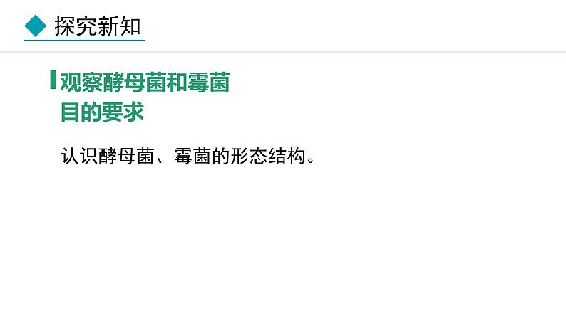 2.3.3 真菌 课件-2024--2025学年人教版生物七年级上册08