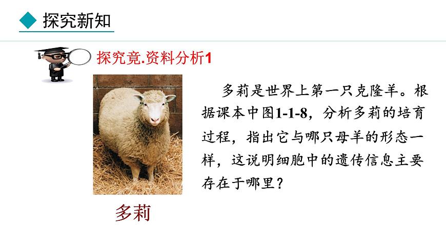 1.1.4  細(xì)胞的生命活動 課件--2024-2025學(xué)年冀少版生物七年級上冊第4頁