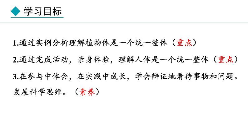 1.2.4 生物体 课件--2024-2025学年冀少版生物七年级上册02
