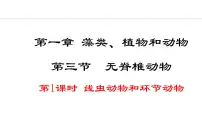 初中生物冀少版（2024）七年级上册一、线虫动物和环节动物图片ppt课件