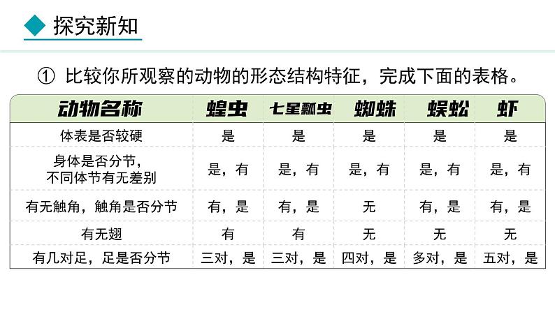 2.1.3 第2课时 节肢动物 课件--2024-2025学年冀少版生物七年级上册06