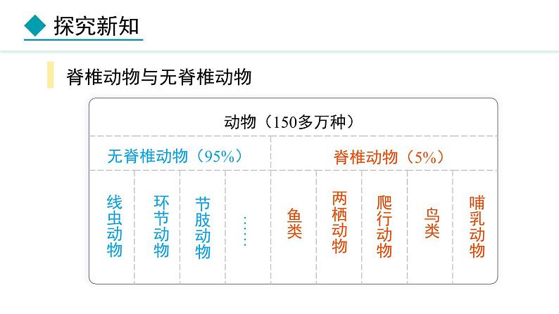 2.1.4 第1课时 鱼类 课件--2024-2025学年冀少版生物七年级上册04