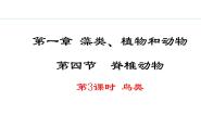 初中生物冀少版（2024）七年级上册三、鸟类教课内容ppt课件