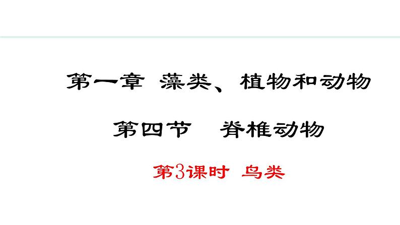 2.1.4 第3课时 鸟类 课件--2024-2025学年冀少版生物七年级上册01