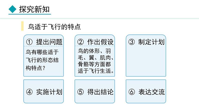2.1.4 第3课时 鸟类 课件--2024-2025学年冀少版生物七年级上册04