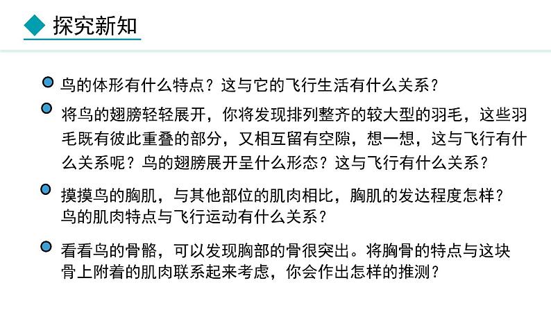 2.1.4 第3课时 鸟类 课件--2024-2025学年冀少版生物七年级上册05