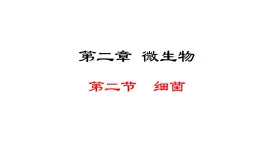 2.2.2  细菌 课件--2024-2025学年冀少版生物七年级上册