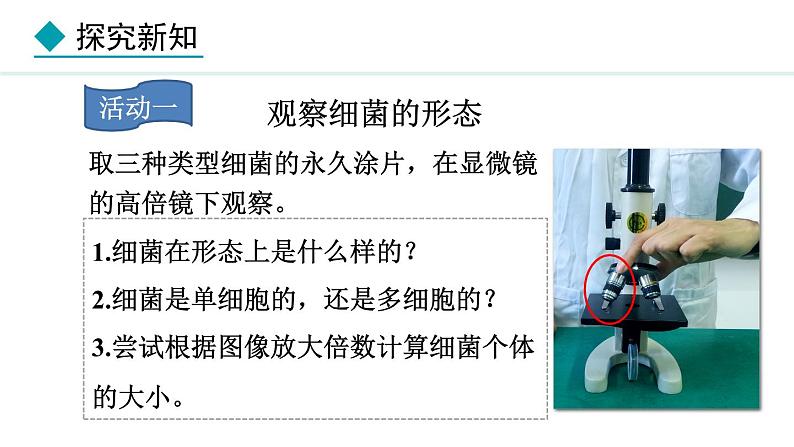 2.2.2 细菌 课件--2024-2025学年冀少版生物七年级上册05