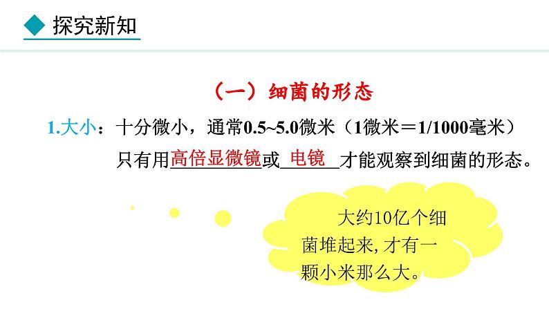 2.2.2 细菌 课件--2024-2025学年冀少版生物七年级上册06
