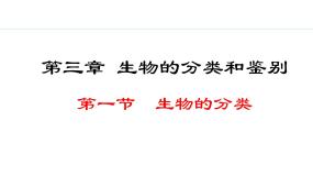 初中生物冀少版（2024）七年级上册第一节 生物的分类多媒体教学课件ppt