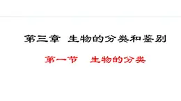 2.3.1  生物的分类 课件--2024-2025学年冀少版生物七年级上册