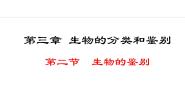 初中冀少版（2024）第二节 生物的鉴别教案配套课件ppt