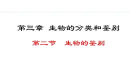 2.3.2  生物的鉴别 课件--2024-2025学年冀少版生物七年级上册