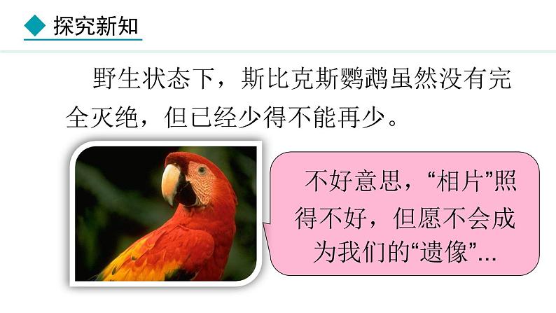2.4.2 生物资源的保护 课件--2024-2025学年冀少版生物七年级上册06