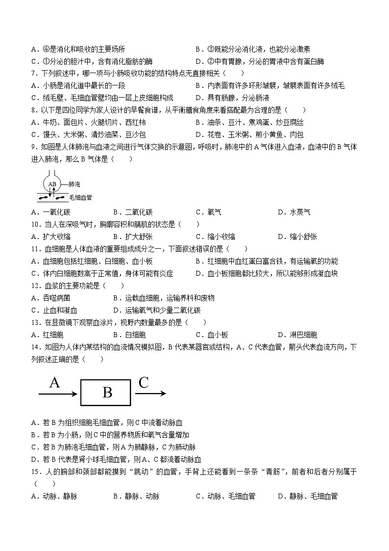 广东省河源地区2023-2024学年七年级下学期期末考试生物试题第2页