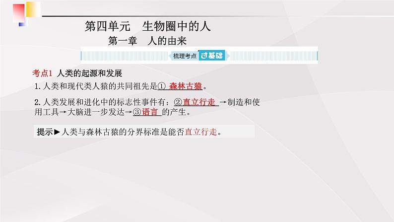 鲁教版(五四制)初中生物七年级上册 第1章 人的由来复习 课件01