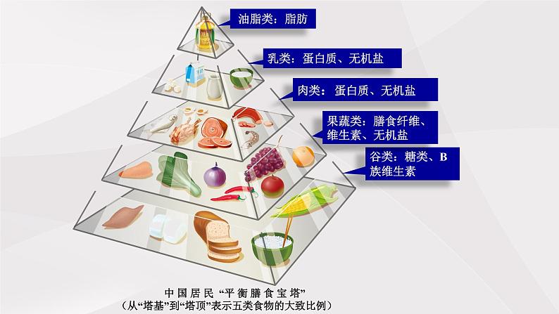 鲁教版(五四制)初中生物七年级上册 第二章 第三节 合理营养与食品安全 课件第5页