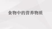 初中生物鲁科版 (五四制)七年级上册第一节 食物中的营养物质课堂教学ppt课件