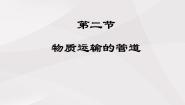 初中生物鲁科版 (五四制)七年级上册第二节 物质运输的管道示范课ppt课件