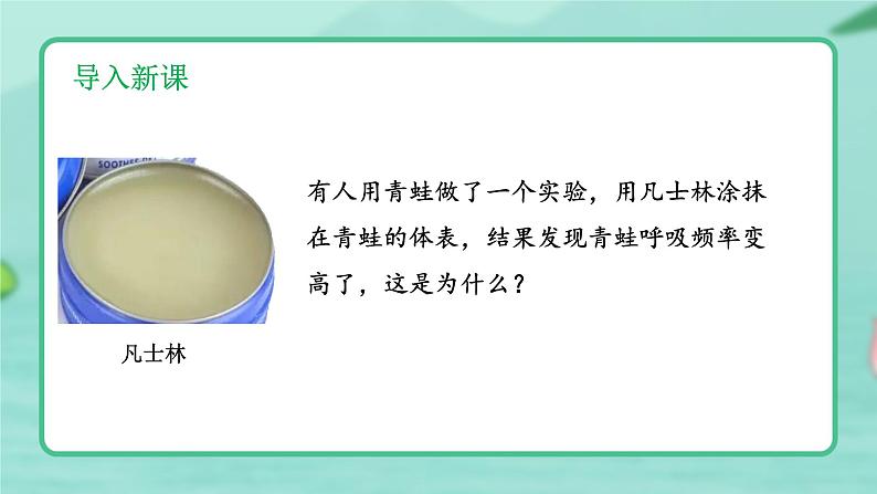 5.1.5 两栖动物和爬行动物 -2024-2025学年生物八年级上册同步备课高效课件(统编版)第6页