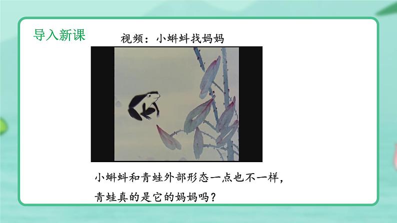 5.1.5 两栖动物和爬行动物 -2024-2025学年生物八年级上册同步备课高效课件(统编版)第7页