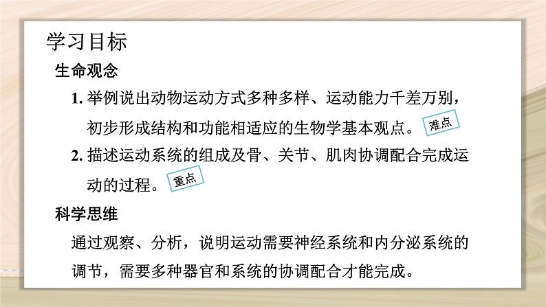 5.2.1 动物的运动-2024-2025学年生物八年级上册同步备课高效课件第3页