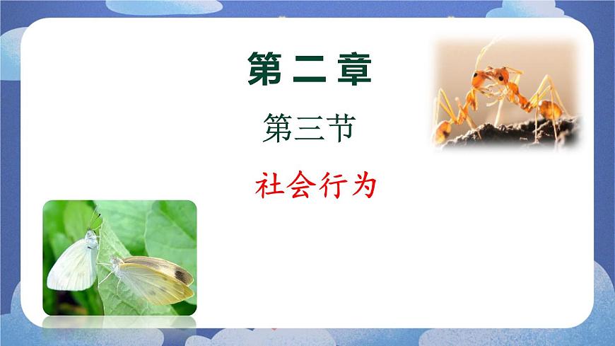 5.2.3 社會行為-2024-2025學年生物八年級上冊同步備課高效課件第1頁
