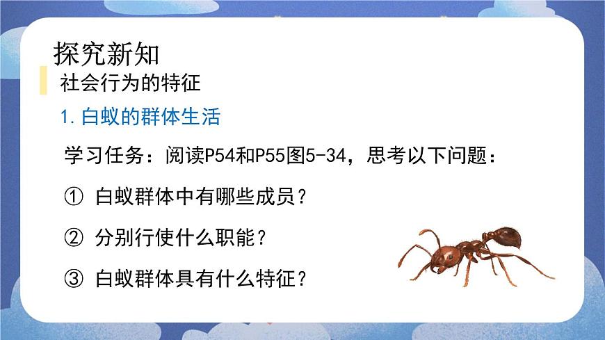 5.2.3 社會行為-2024-2025學年生物八年級上冊同步備課高效課件第6頁