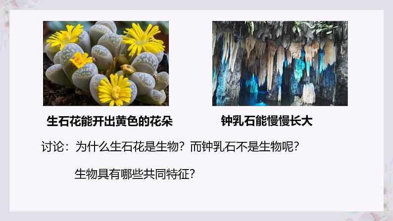 1.1.2生物的特征 教学课件 人教版生物七年级上03