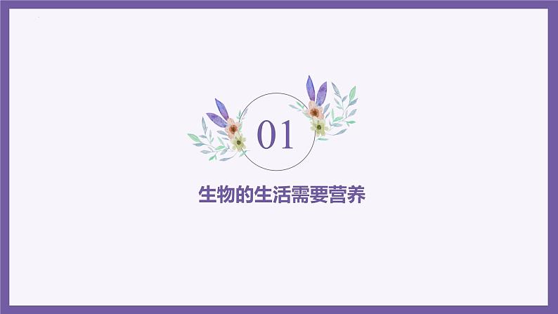 1.1.2生物的特征 教学课件 人教版生物七年级上04