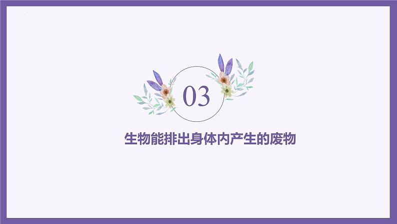 1.1.2生物的特征 教学课件 人教版生物七年级上08