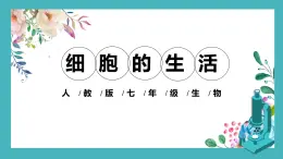 1.2.4细胞的生活 教学课件 人教版生物七年级上