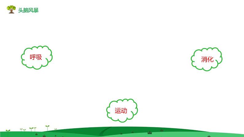 1.3.4单细胞生物 教学课件 人教版生物七年级 上册04