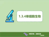 1.3.4单细胞生物 教学课件 人教版生物七年级上册