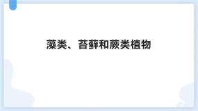 人教版 (新课标)七年级上册第一节 藻类、苔藓和蕨类植物教学课件ppt