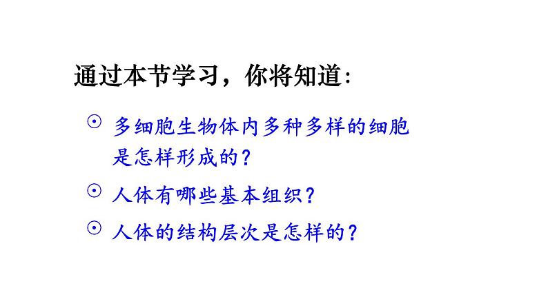 1.3.2 动物体的结构层次 课件-2024-2025学年人教版生物七年级上册04