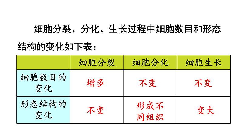1.3.2 动物体的结构层次 课件-2024-2025学年人教版生物七年级上册06