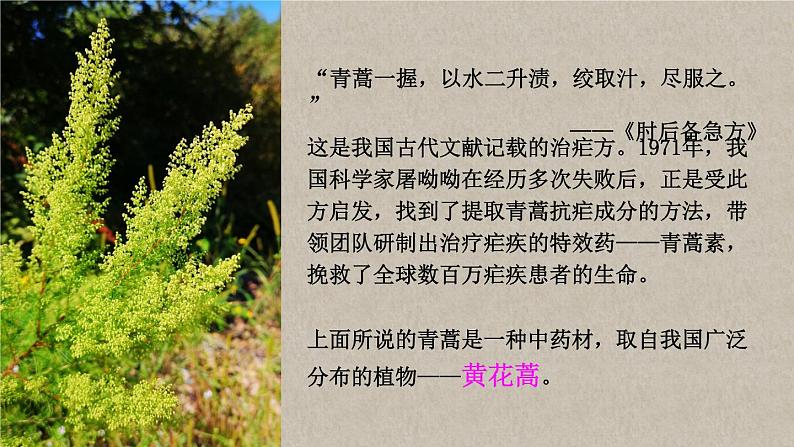 第一节 藻类、苔藓和蕨类第3页