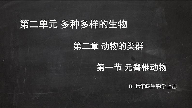 2.2.1 无脊椎动物 课件-2024-2025学年人教版生物七年级上册03