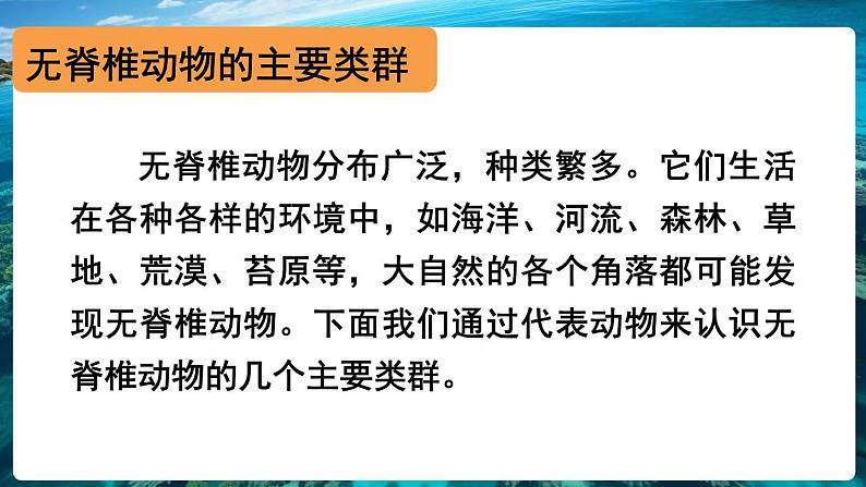 2.2.1 无脊椎动物 课件-2024-2025学年人教版生物七年级上册07